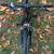 24” Specialized Hotrock 8 Speed Boy’s Mountain Bike Like New MINT 9 thumbnail