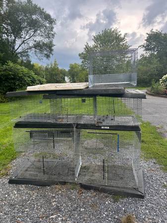 Rabbit cages l 1