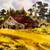 Lewis Suzuki Framed Watercolor - Rural Barn Scene 2 thumbnail