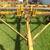 Dakon Chisel Plow 5 thumbnail