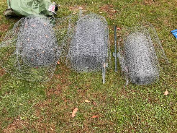 Chicken Wire 1