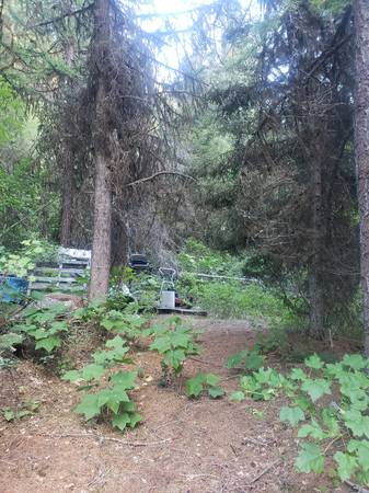 $249,000 / 1br - Cabin on 40 acres with creek borders BLM and State (Clinton)63657010212995124