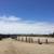 Horse Boarding Santa Cruz 12 thumbnail