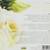 Wedding Music CD or Dances, Honeymoon Holidays DVD 4 thumbnail