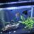 30 gallon fish tank 5 thumbnail