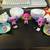 A-Lot-A Axolotls 4 thumbnail