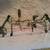 Bear Archery Authority Compound Bow – Fully Loaded (Right Hand) 2 thumbnail