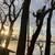 Tree Service and Landscaping, fencing, retaining walls 2 thumbnail