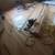 Basement renovation home improvement 6 thumbnail