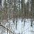 Vacant Wooded Parcel in Wisconsin Dells 14 thumbnail