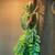 Female veiled chameleon 1 thumbnail