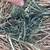 1st, 2nd 3rd cutting 4x5 round bales Alfalfa-Timothy grass hay bales 1 thumbnail