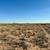 Residential Land for Sale in Deming, NM 2 thumbnail