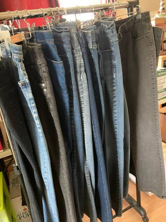 Downsizing Size 14 Women’sJeans 1