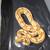 Ball Python 21 thumbnail