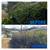 Yard Work by Da Yardman 13 thumbnail