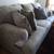 Couch 1 thumbnail