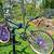 New Schwinn Sting 10 thumbnail