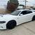 2019 dodge charger scat pack 4 thumbnail