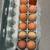 Backyard chicken eggs 2 thumbnail