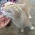 cream kitten 2 thumbnail