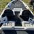 2002 Sprint 18 FT OBO 10 thumbnail