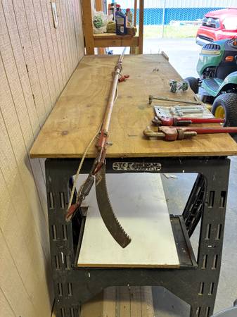 TREE  SAW 1