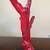 Large Red Coral Tree 3 thumbnail