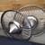 100 spoke dayton wire wheel knockoffs spinners tools 6 thumbnail