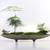 Boat Shaped Ceramic Planter for Bonsai, Lucky Bamboo, Succulents 5 thumbnail