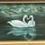 Oil Painting of Swans on Lake by Listed SoCal Artist Kathi Colman 2 thumbnail