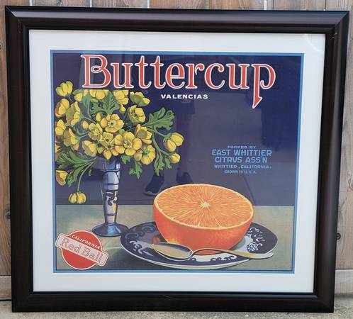 Framed Poster Buttercup Valencias Brand 1