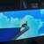 Perfect TV for kids room or gamer (PLASMA) 1 thumbnail