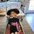 Madame Alexander Collectible Dolls, August Precious Moments Doll, Vint 4 thumbnail