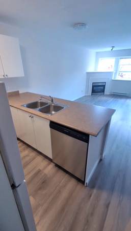 1 Bed 1 Bath spacious apartment 1