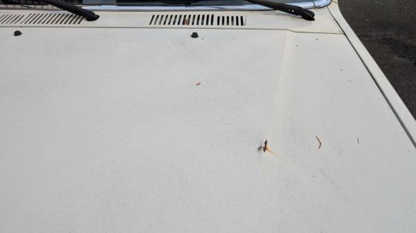1986 4Runner DLX Automático - $7,200 (Renton)63623592686465123
