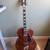D’Angelico Premier elx-1 guitar 2 thumbnail
