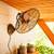 OLD BRONZE OSCILLATING INDOOR/OUTDOOR WALL-MOUNT FAN - ALLNEW 1 thumbnail