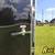 Just Arrived! 2026 7'x16' Anvil Cargo Trailer - 6'6 interior height! 13 thumbnail