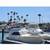 SPORTFISHING CHARTERS ( private ) 9 thumbnail