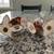 Disney - Grumpy and Sneezy Salt & Pepper Shaker Set 4 thumbnail