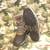 Mens Winter Snow Boots 4 thumbnail