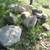 Rocks 1 thumbnail