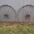 2 antique 54" Steel wheels 1 thumbnail