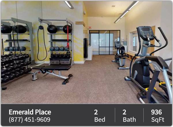 Where life meets limitless possibilities: Explore our spacious 2 BR. 1