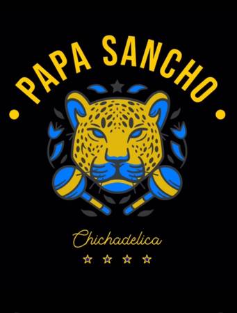 bassist sought by Latin Psychedelic Cumbia band (san diego)63819910788993120