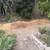 FREE GARDENING MULCH/WOOD CHIPS 1 thumbnail
