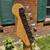 Fender Stratocaster USA Dan Smith era 1983 Rare Sienna burst original hardshell 5 thumbnail