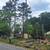 █►TREE CUTTING & LANDSCAPING SERVICE BY PEREZ◄█ 17 thumbnail