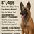 🐾 17-Day Dog Training – Potty Training GUARANTEED in Harrisburg, PA! 2 thumbnail